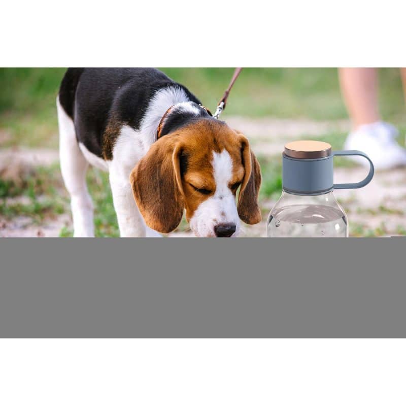 Asobu® 50 Oz. Dog Bowl Bottle Lite - 9