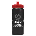 Garyline® Mini Peak Tritan® Metallike Bottle with Push-Pull Lid - 22 oz. - 2