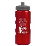Garyline® Mini Peak Tritan® Metallike Bottle with Push-Pull Lid - 22 oz. - 8